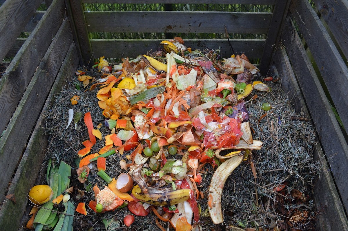 Les déchets de cuisine interdits de sac poubelle dès le 1er janvier 2024 —  Mouscron