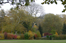 Parc communal de Mouscron, Avenue du Parc