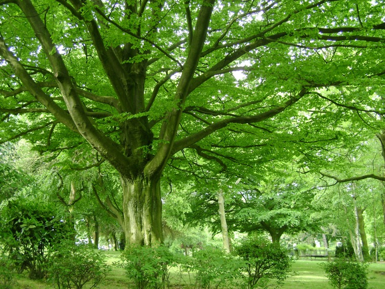 Sortie Nature 2026