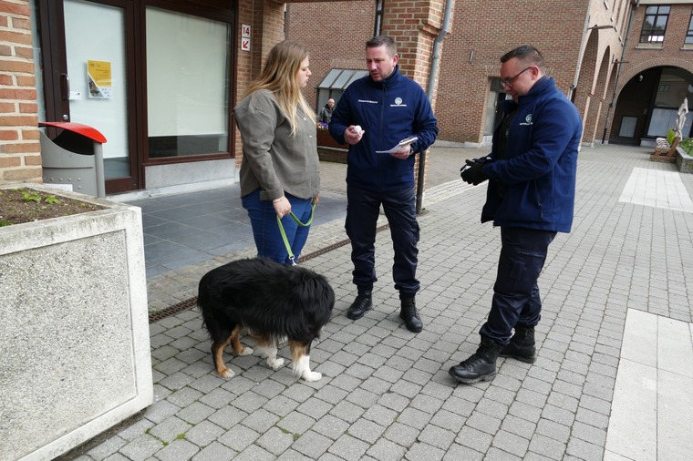 Déjections canines à Mouscron : découvrez les actions de la Ville, les règles à respecter et les solutions mises en place pour un espace public plus propre.