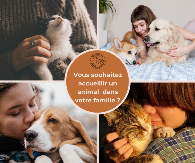 une question à bien réfléchir ...