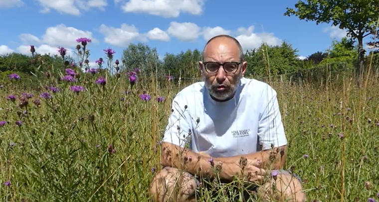 Pré fleuri dans la réserve de la Fontaine Bleue