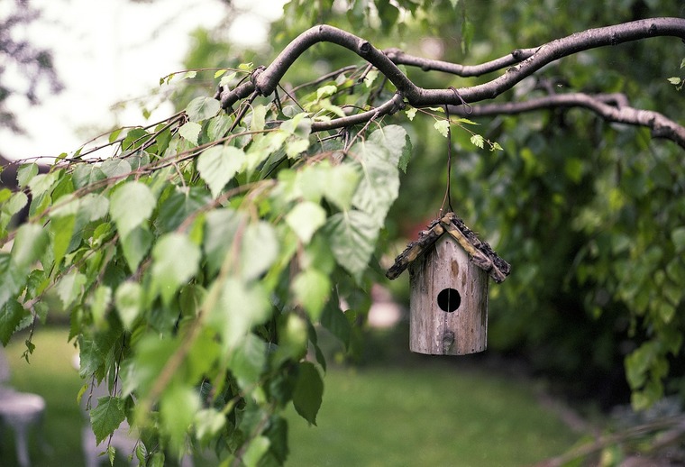 Une place pour la biodiversité en ville